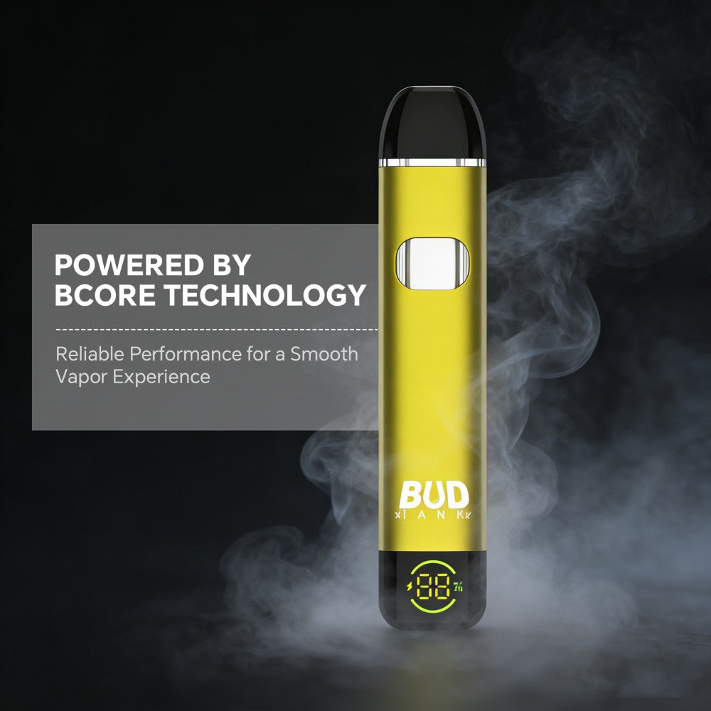 DS13 2ml disposable vape